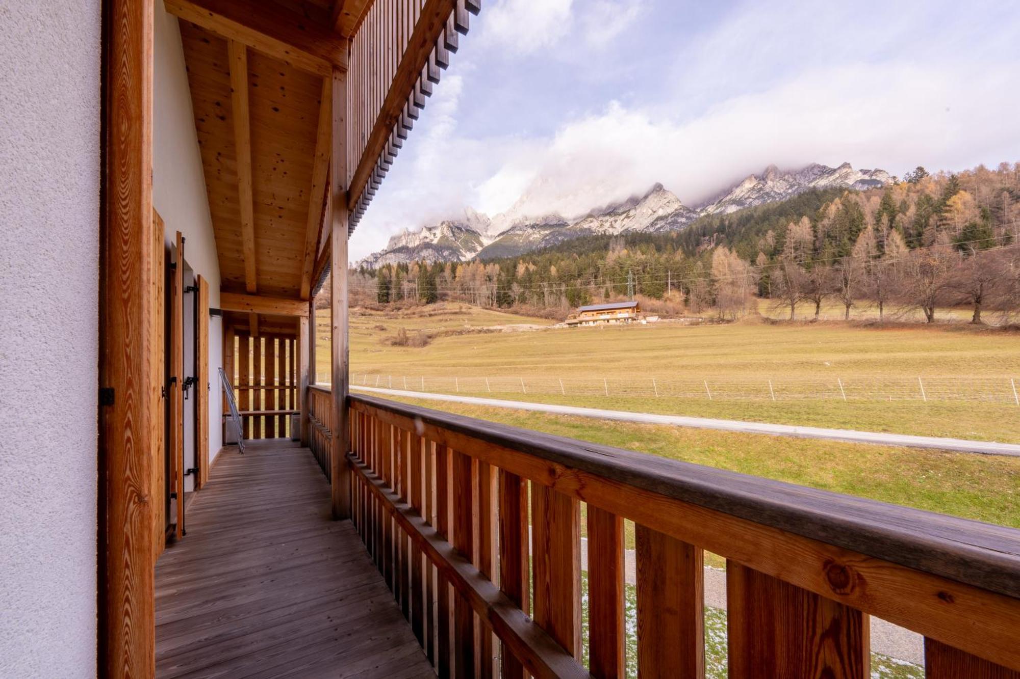 Greenwood Chalet - Spacious Alpine Retreat With Mountain Views Vodo Cadore エクステリア 写真